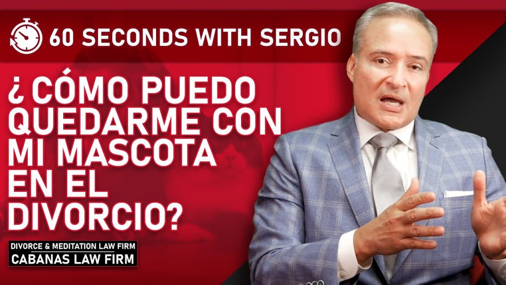 c mo puedo quedarme con mi mascota en el divorcio 05cyQscrNko